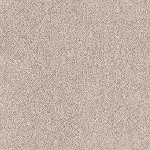 8133_7_additional image.jpg image